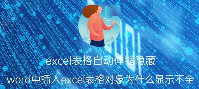 excel表格自动伸缩隐藏 word中插入excel表格对象为什么显示不全？